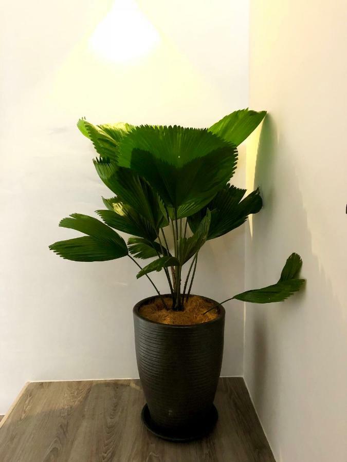 Minimalist Duplex @ Petaling Jaya & Sunway 아파트 외부 사진